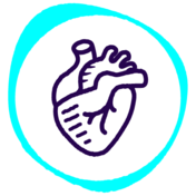 Icon-cardio_impact