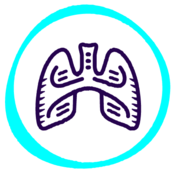 Icon-interstitial_lung