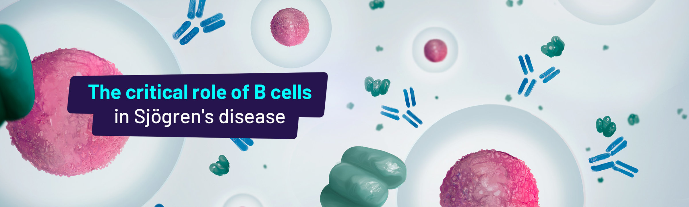 The critical role of B cells in Sjögren's disease.